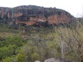 0921-1647 NT Kakadu (9212934)